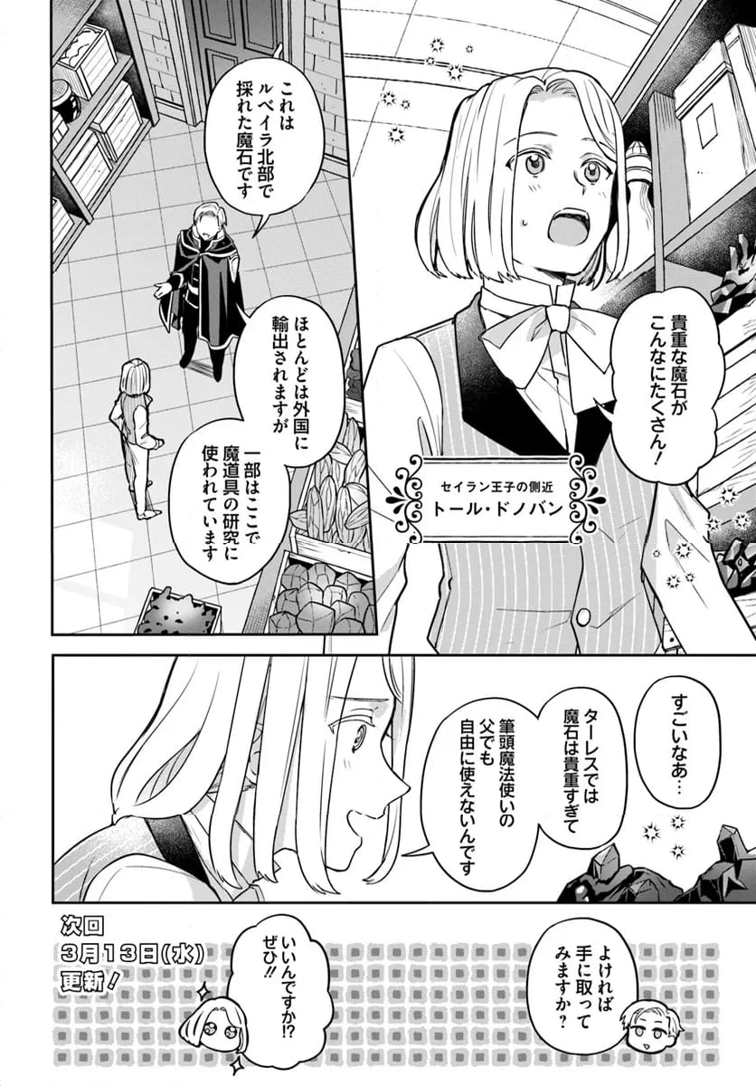 お飾り王妃になったので、こっそり働きに出ることにしました ～うさぎがいるので独り寝も寂しくありません！～ 第25.2話 - 6