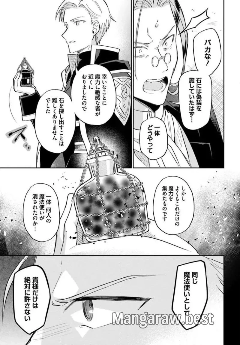 お飾り王妃になったので、こっそり働きに出ることにしました ～うさぎがいるので独り寝も寂しくありません！～ 第29.2話 - 5