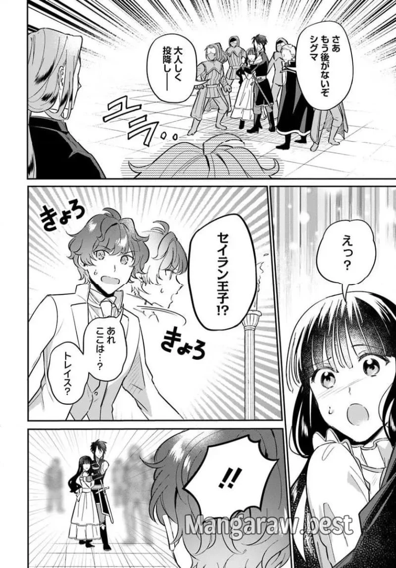 お飾り王妃になったので、こっそり働きに出ることにしました ～うさぎがいるので独り寝も寂しくありません！～ 第29.2話 - 6