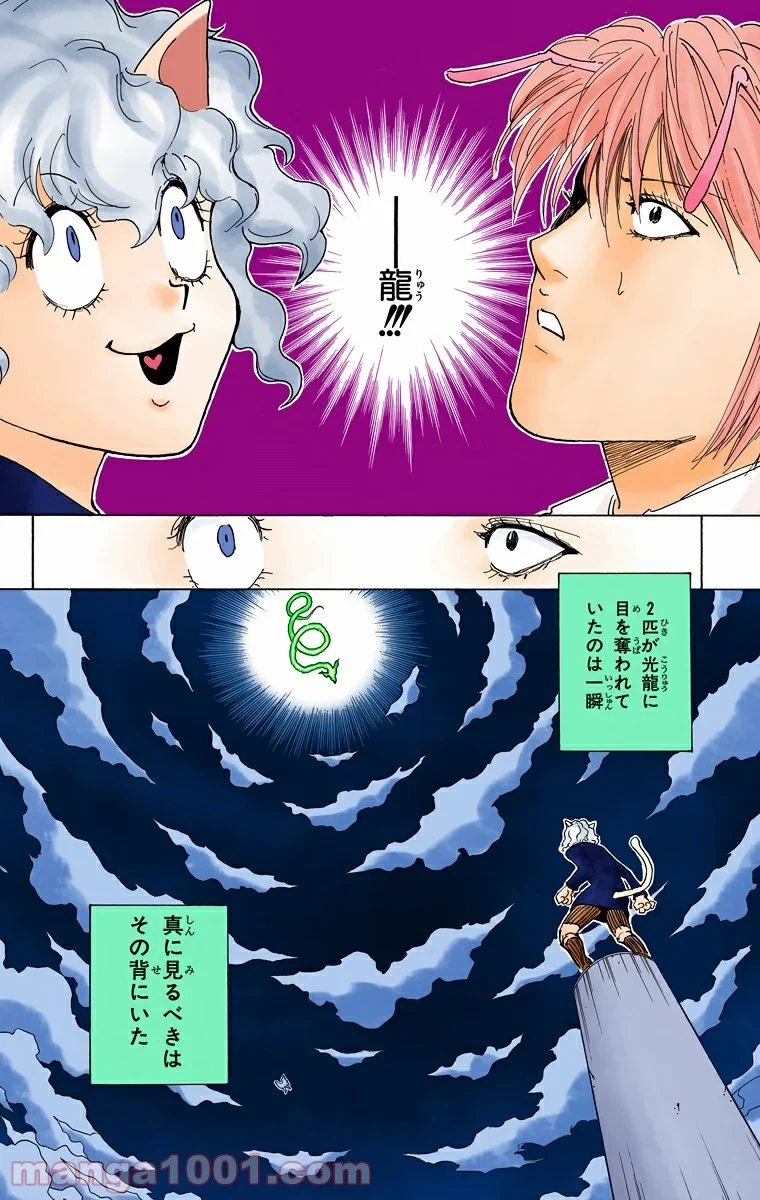 HUNTER X HUNTER 第263話 - 10