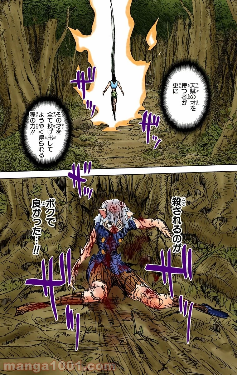 HUNTER X HUNTER 第306話 - 19
