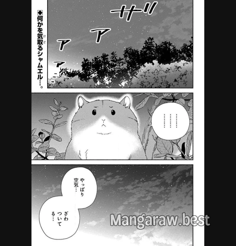 もふもふとむくむくと異世界漂流生活 ふもふとむくむくと異世界漂流生活 第8話 - 27