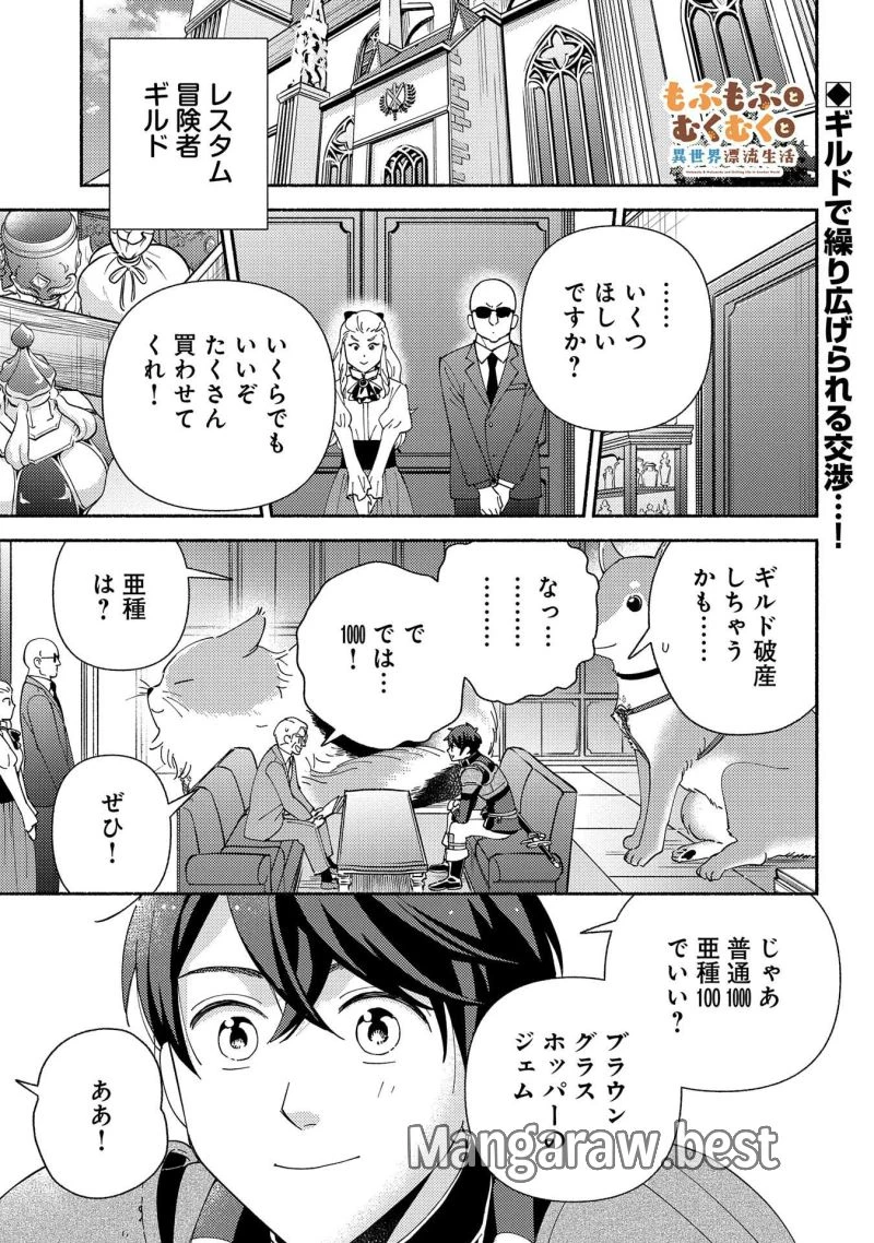 もふもふとむくむくと異世界漂流生活 ふもふとむくむくと異世界漂流生活 第11話 - 1