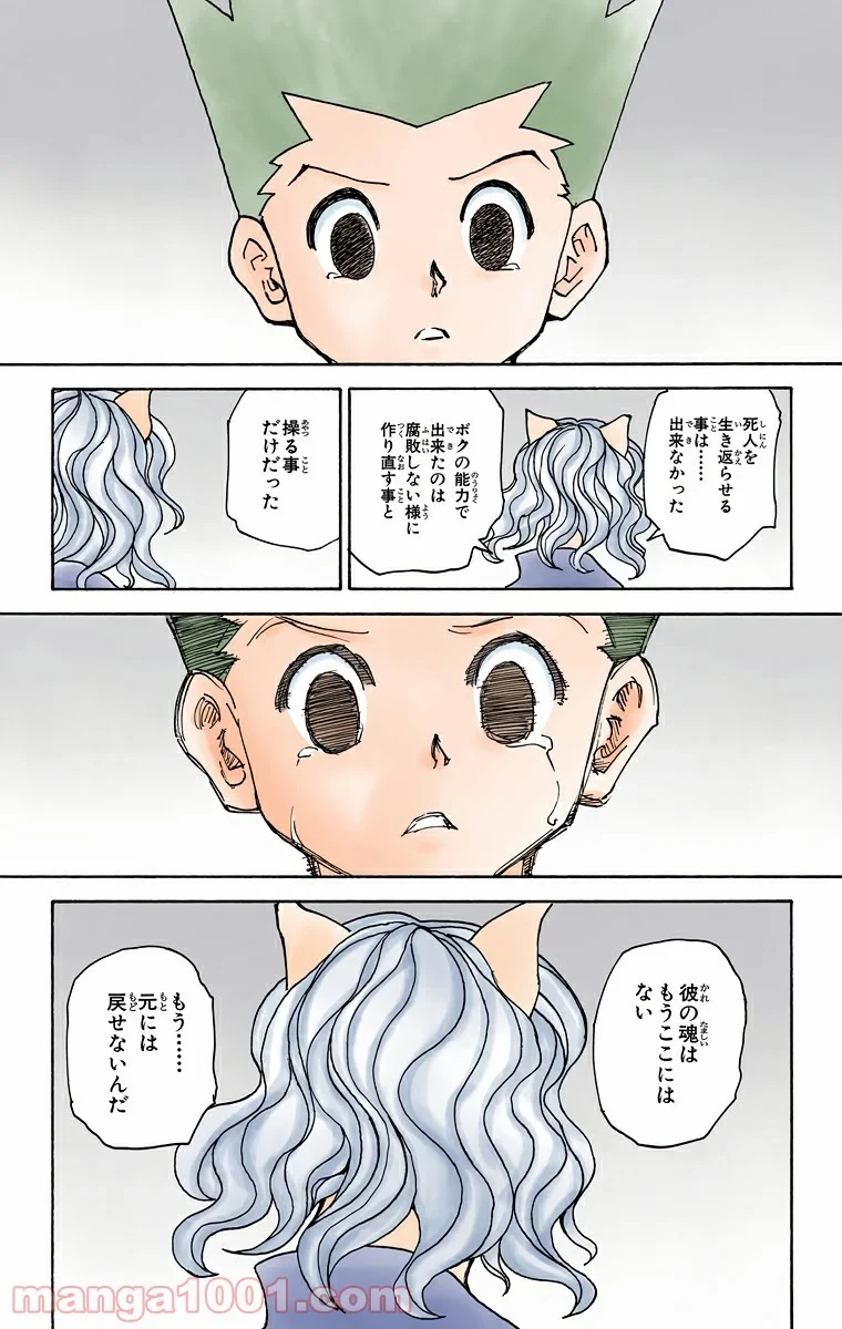 ハンター×ハンター 第304話 - 17