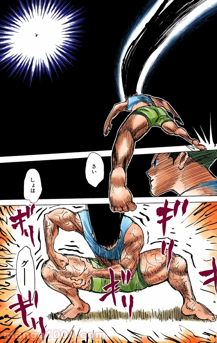 ハンター×ハンター 第306話 - 11