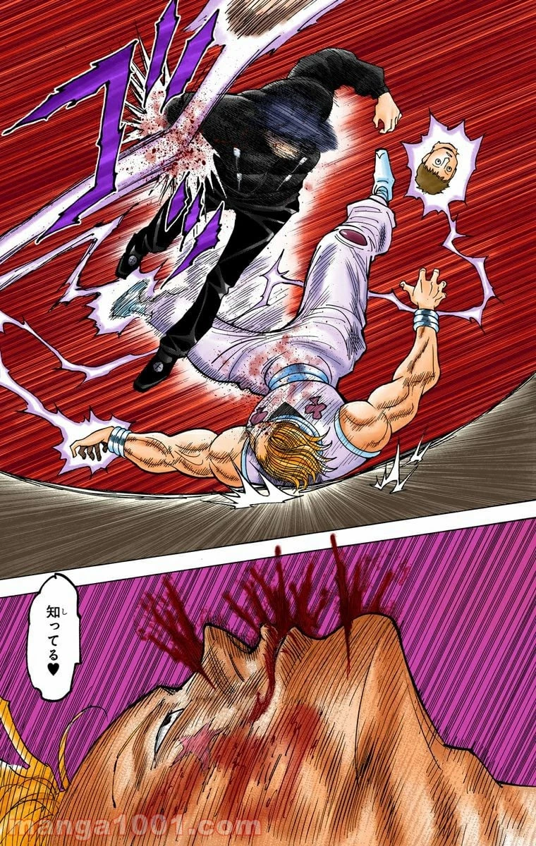 ハンター×ハンター 第353話 - 19