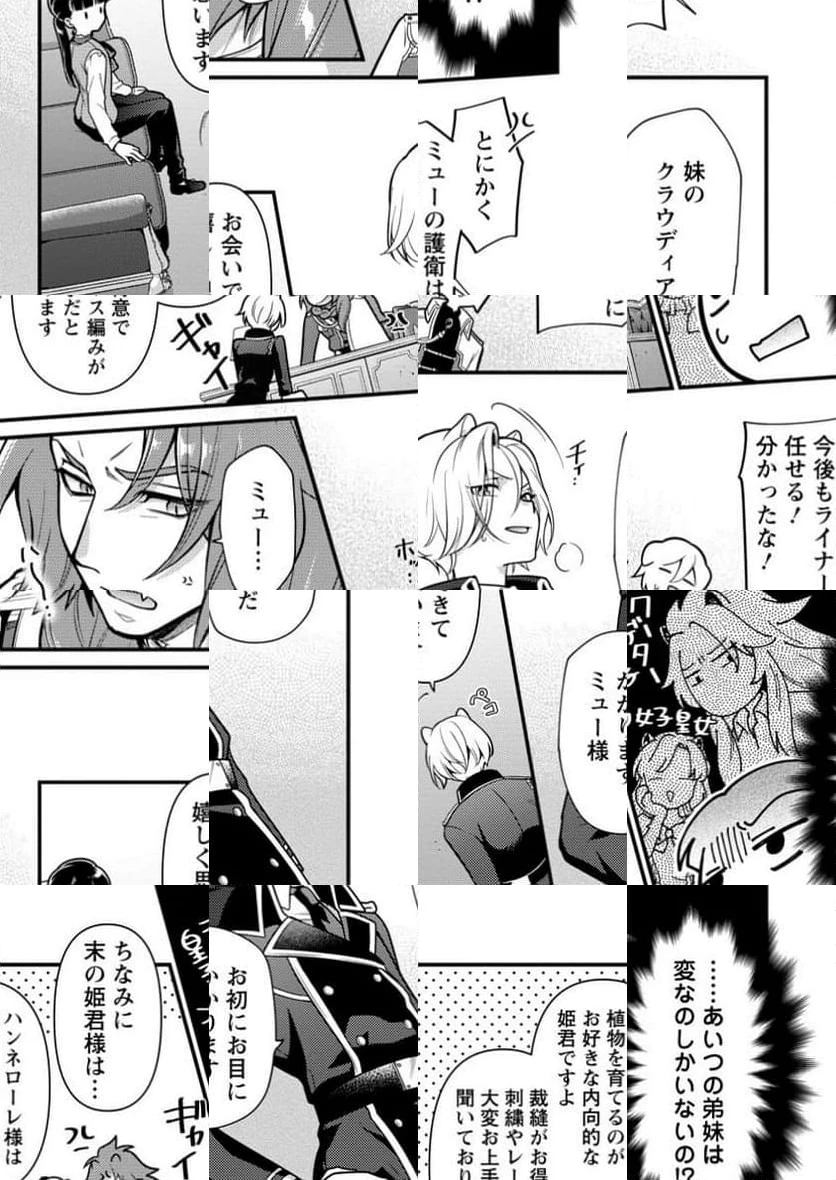 ヒトを勝手に参謀にするんじゃない、この覇王。 ～ゲーム世界に放り込まれたオタクの苦労～ 第38.3話 - 9