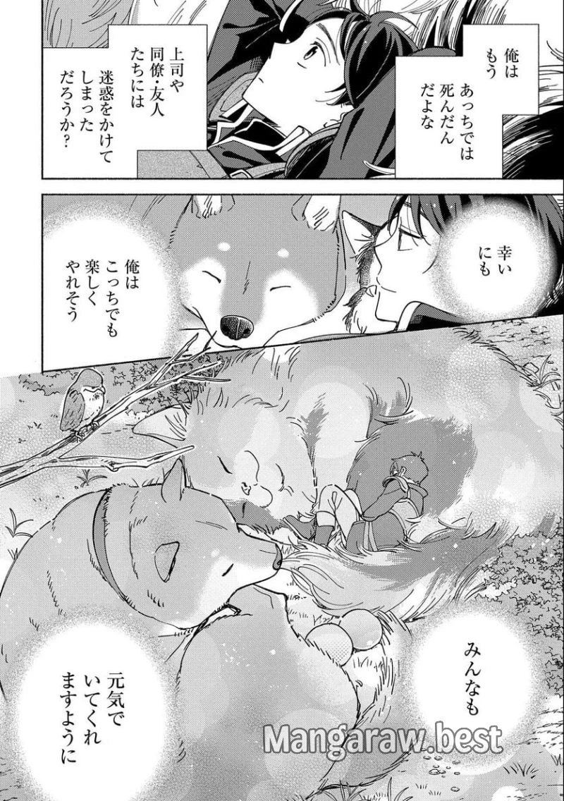 もふもふとむくむくと異世界漂流生活 ふもふとむくむくと異世界漂流生活 第2話 - 24