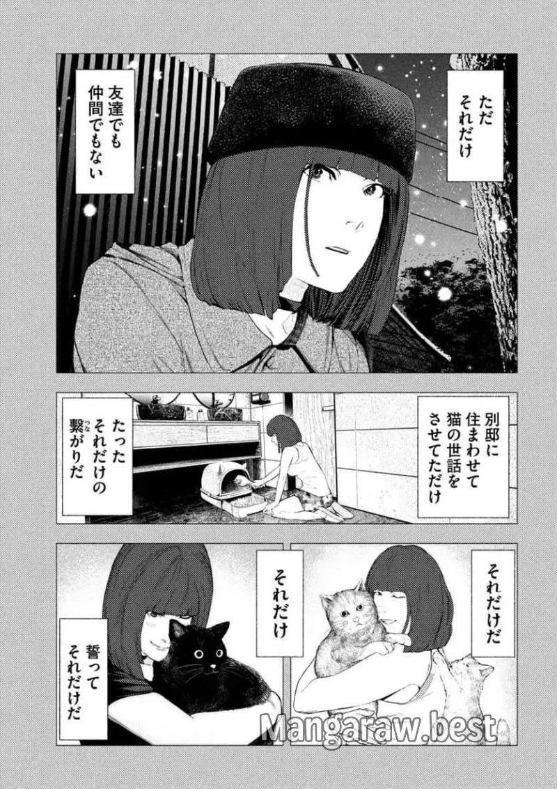 アマチュアビジランテ 第15話 - 13