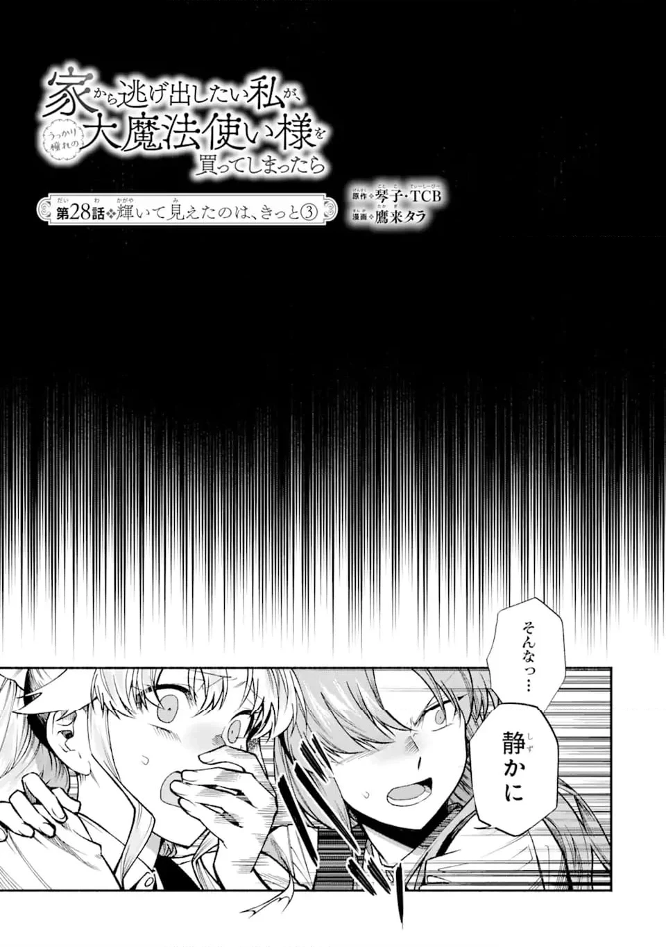 家から逃げ出したい私が、うっかり憧れの大魔法使い様を買ってしまったら 第28.1話 - 3