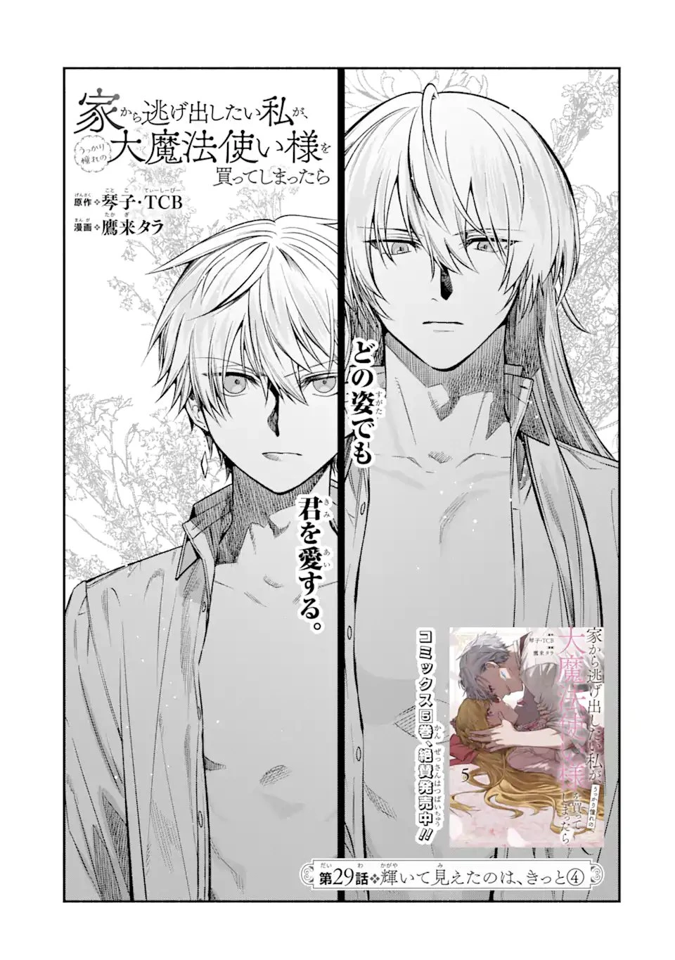 家から逃げ出したい私が、うっかり憧れの大魔法使い様を買ってしまったら 第29.1話 - 9
