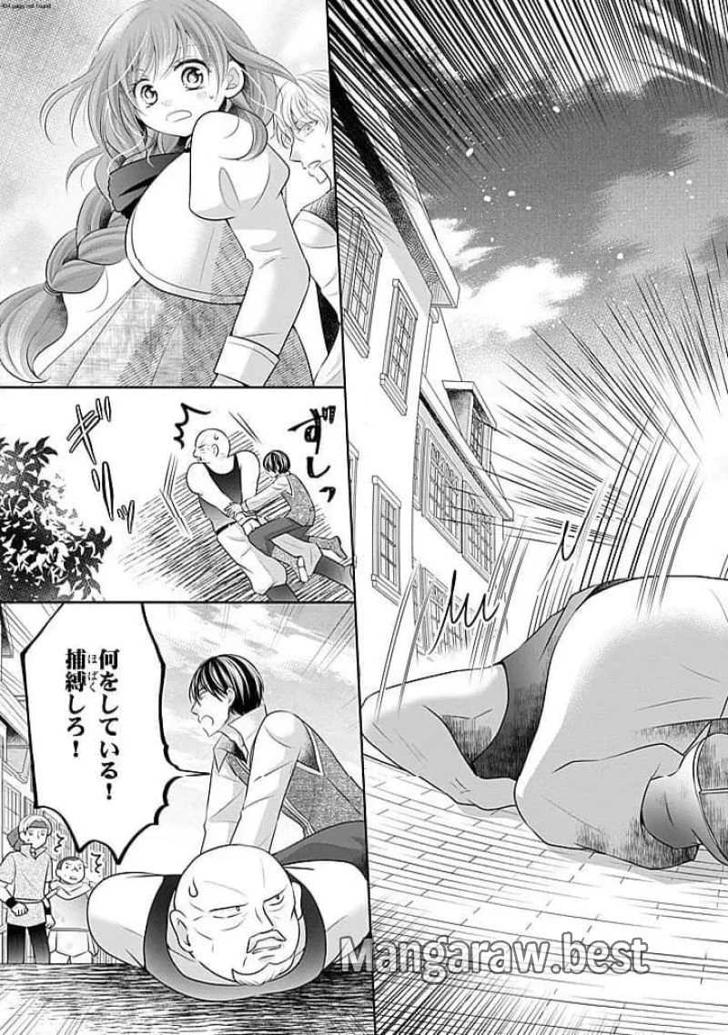 美形王子が苦手な破天荒モブ令嬢は自分らしく生きていきたい！ 第14.2話 - 3