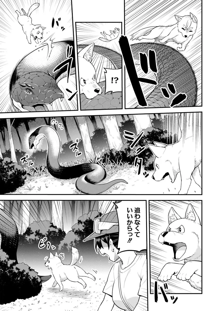 山、買いました 〜異世界暮らしも悪くない〜 第3.2話 - 9