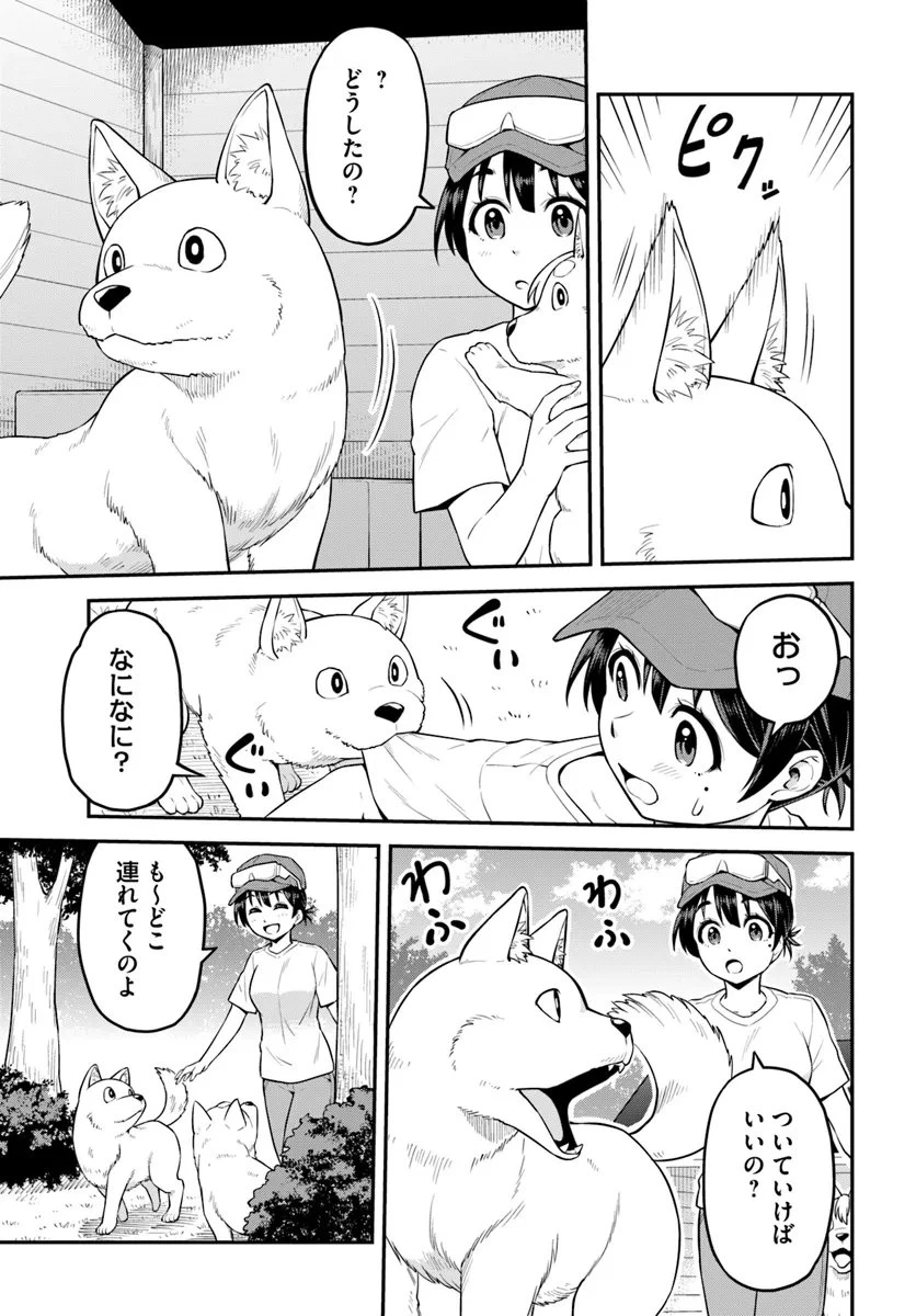 山、買いました 〜異世界暮らしも悪くない〜 第3.2話 - 12