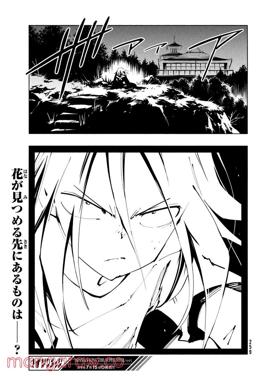 ＳＨＡＭＡＮ　ＫＩＮＧ　ＴＨＥ　ＳＵＰＥＲ　ＳＴＡＲ 第38話 - 29