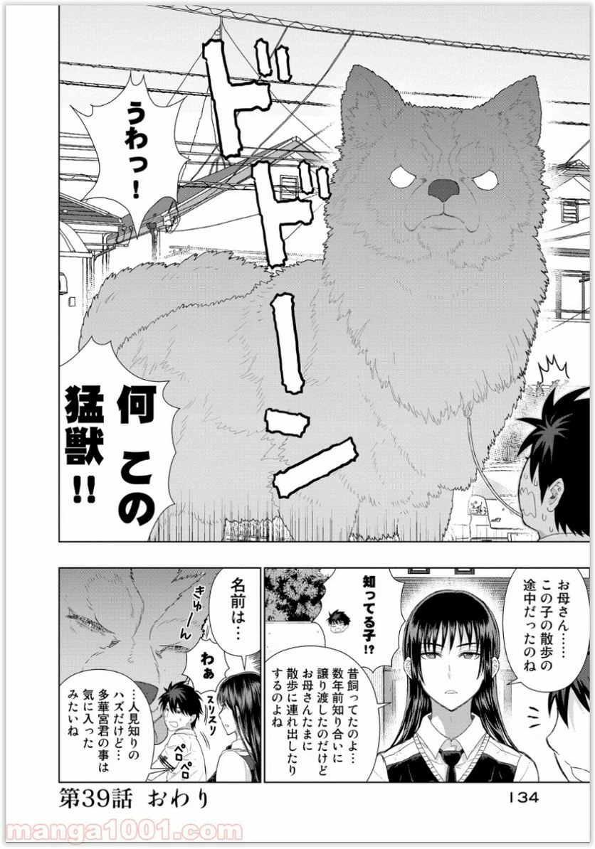 ウィッチクラフトワークス 第39話 - 20