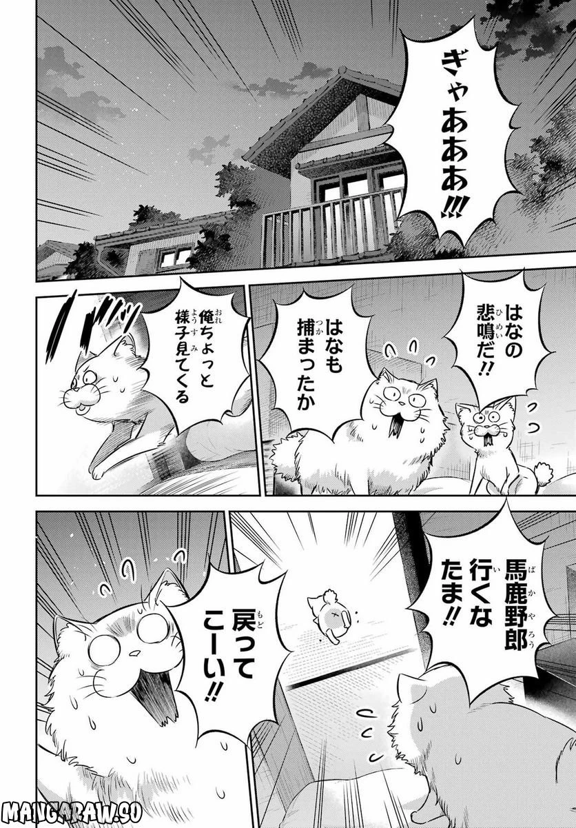 おじさまと猫 第96話 - 14