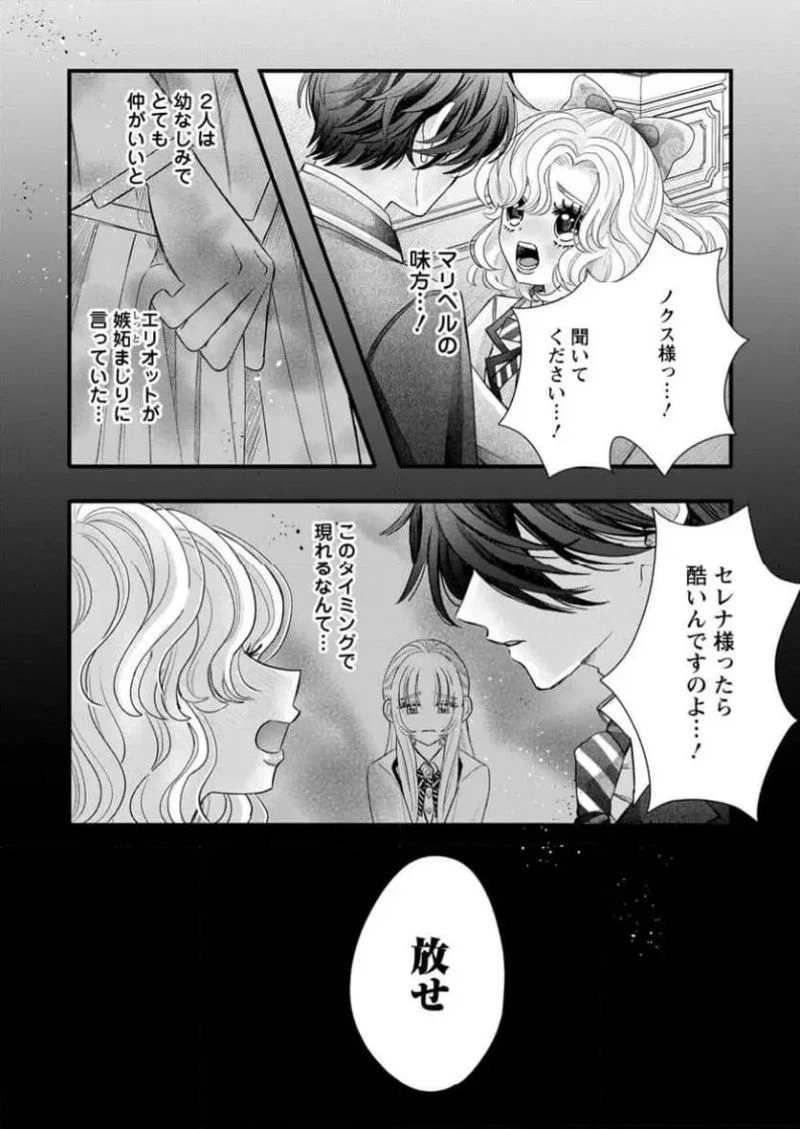 貴方に未練はありません!～浮気者の婚約者を捨てたら王子様の溺愛が待っていました～, 王女殿下を優先する婚約者に愛想が尽きました もう貴方に未練はありません! 第1話 - 23