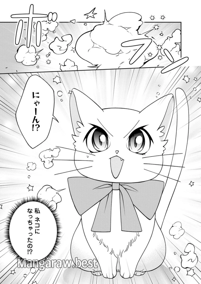幸せに暮らしてますので放っておいてください! 第2.3話 - 10