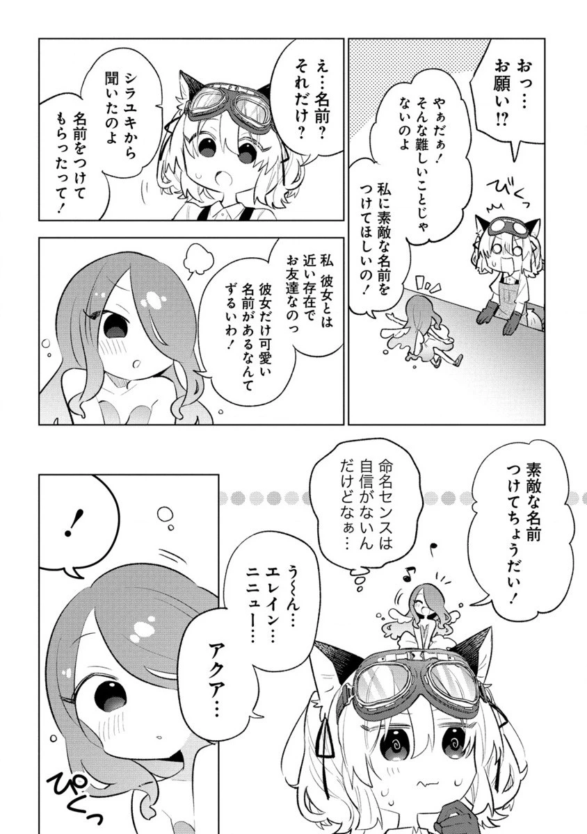 猫耳少女は森でスローライフを送りたい ～もふもふは所望しましたが、聖女とか王子様とかは注文外です～ 第4.2話 - 1