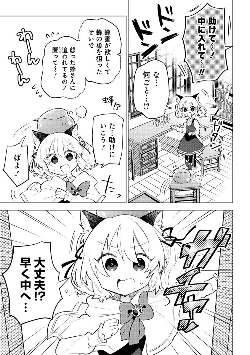 猫耳少女は森でスローライフを送りたい ～もふもふは所望しましたが、聖女とか王子様とかは注文外です～ 第4.2話 - 8