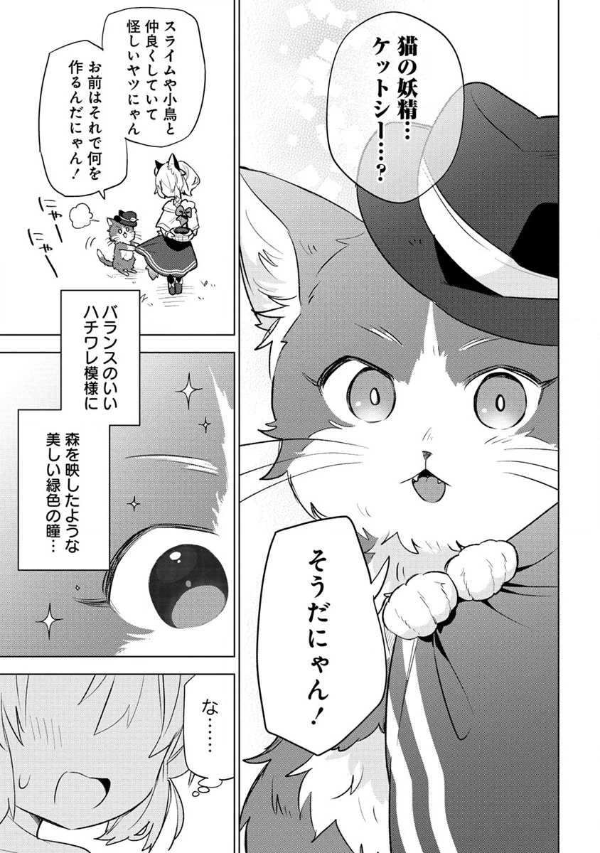 猫耳少女は森でスローライフを送りたい ～もふもふは所望しましたが、聖女とか王子様とかは注文外です～ 第3.2話 - 1
