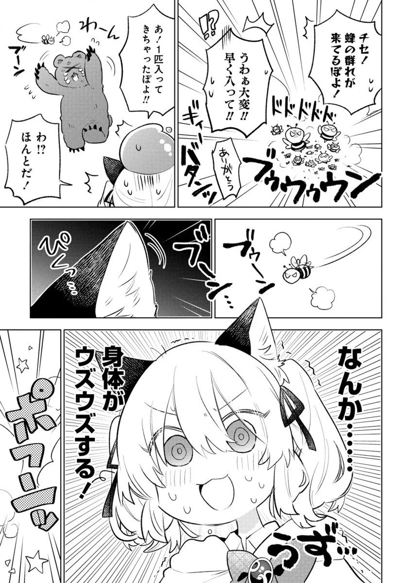 猫耳少女は森でスローライフを送りたい ～もふもふは所望しましたが、聖女とか王子様とかは注文外です～ 第4.2話 - 10