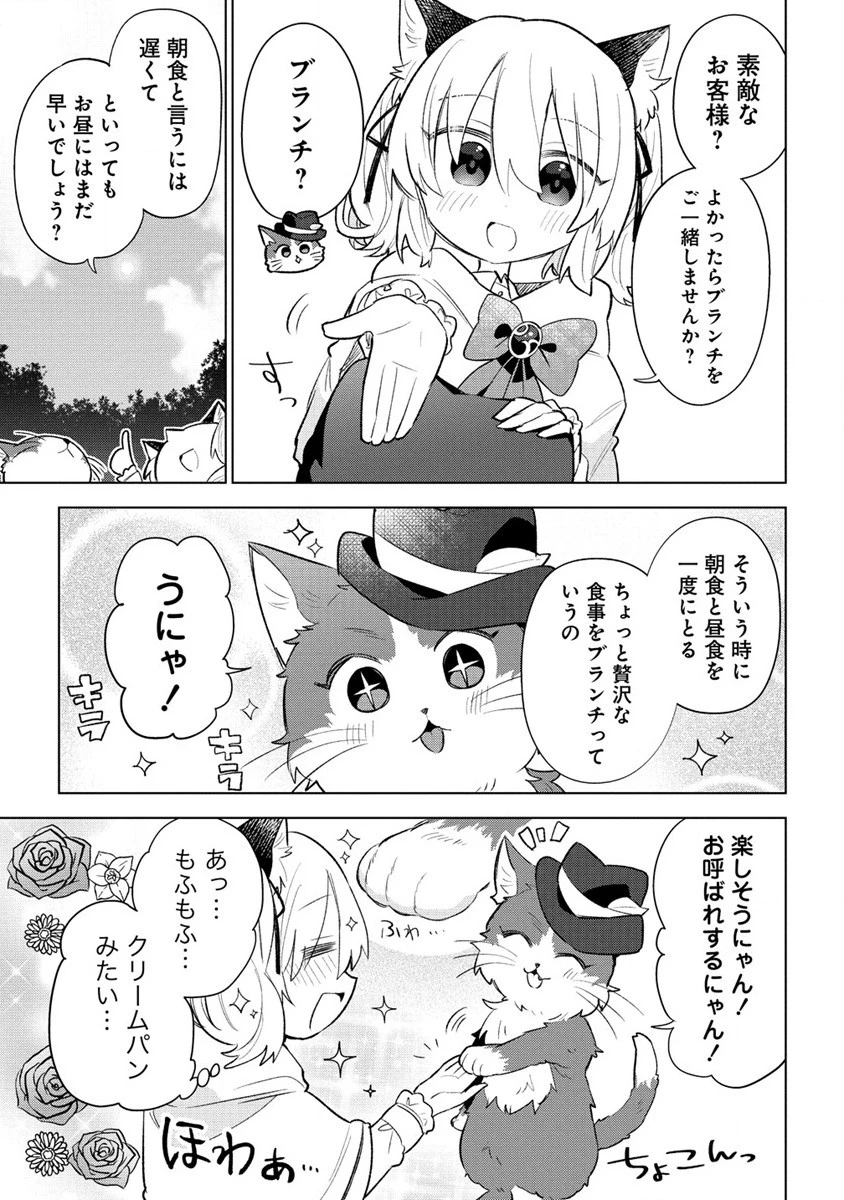 猫耳少女は森でスローライフを送りたい ～もふもふは所望しましたが、聖女とか王子様とかは注文外です～ 第3.2話 - 3