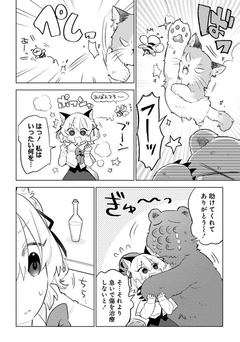 猫耳少女は森でスローライフを送りたい ～もふもふは所望しましたが、聖女とか王子様とかは注文外です～ 第4.2話 - 11