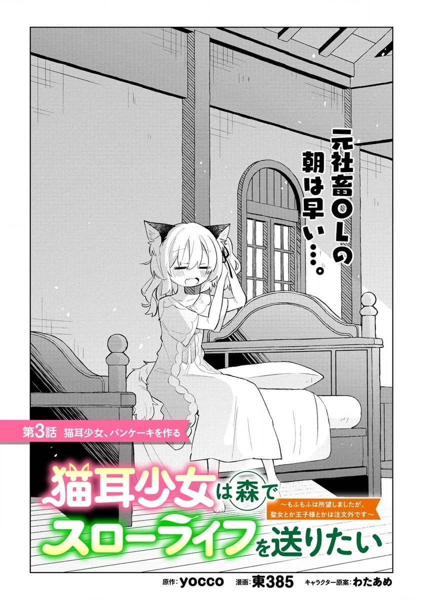 猫耳少女は森でスローライフを送りたい ～もふもふは所望しましたが、聖女とか王子様とかは注文外です～ 第3.1話 - 1