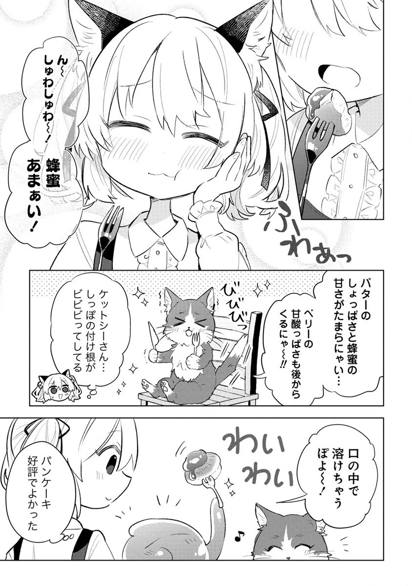 猫耳少女は森でスローライフを送りたい ～もふもふは所望しましたが、聖女とか王子様とかは注文外です～ 第3.2話 - 7