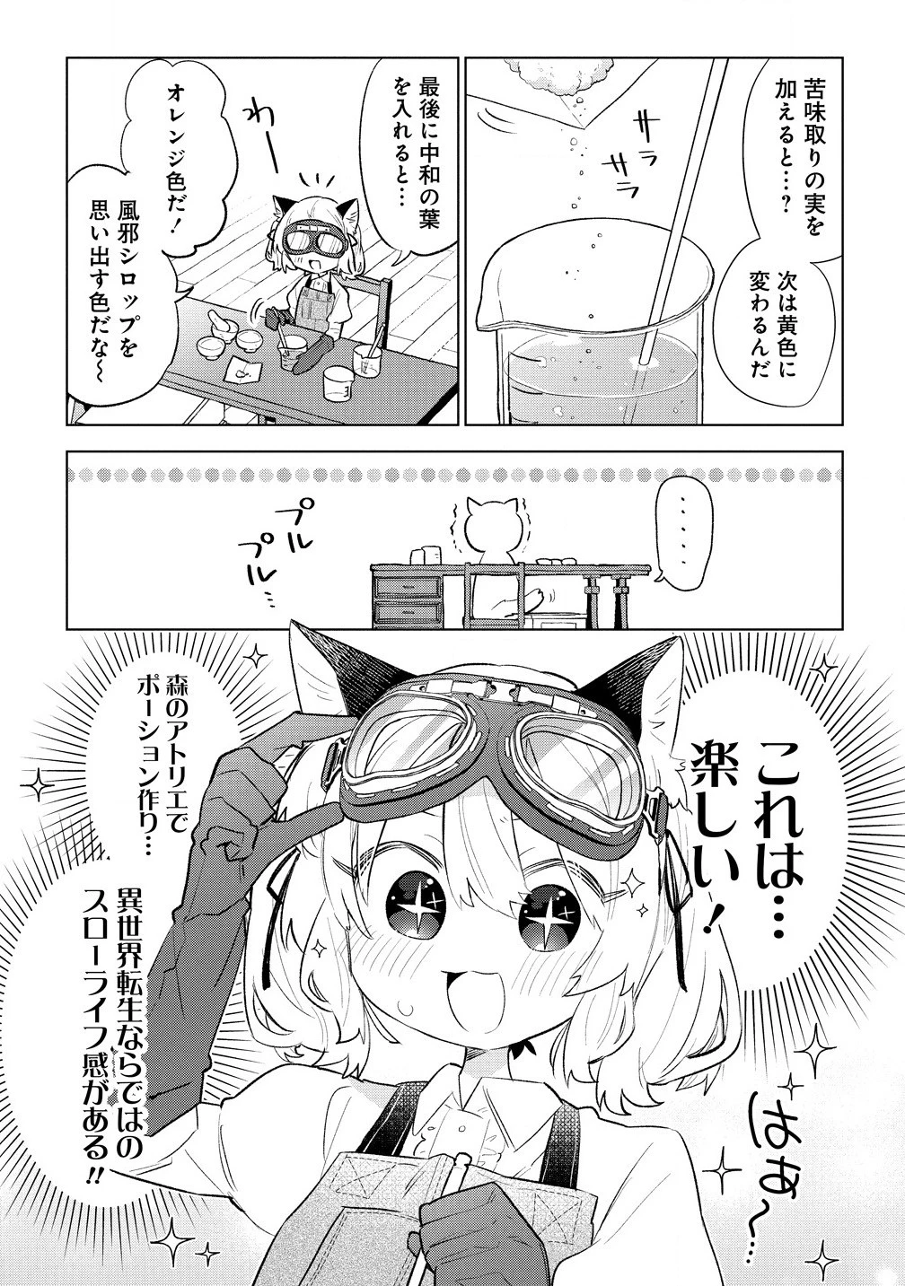 猫耳少女は森でスローライフを送りたい ～もふもふは所望しましたが、聖女とか王子様とかは注文外です～ 第4.1話 - 7
