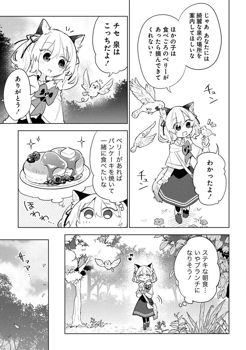 猫耳少女は森でスローライフを送りたい ～もふもふは所望しましたが、聖女とか王子様とかは注文外です～ 第3.1話 - 5