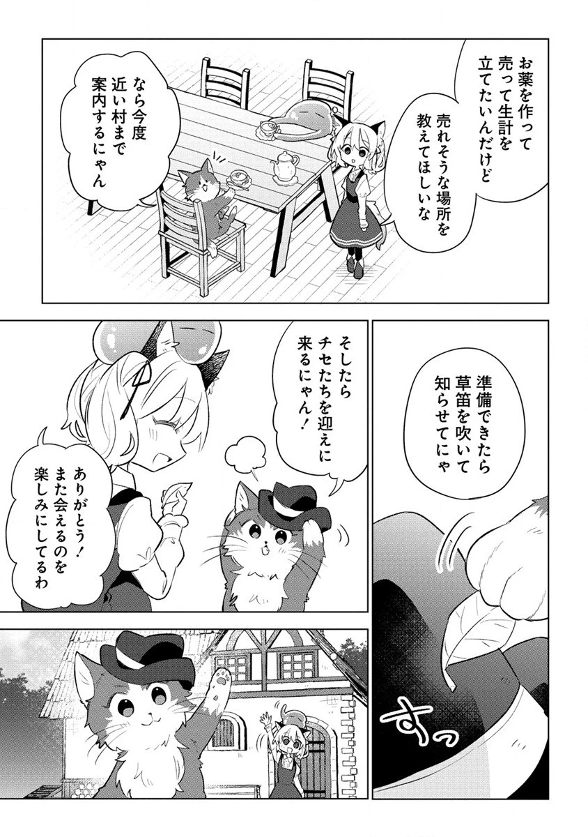 猫耳少女は森でスローライフを送りたい ～もふもふは所望しましたが、聖女とか王子様とかは注文外です～ 第3.2話 - 11