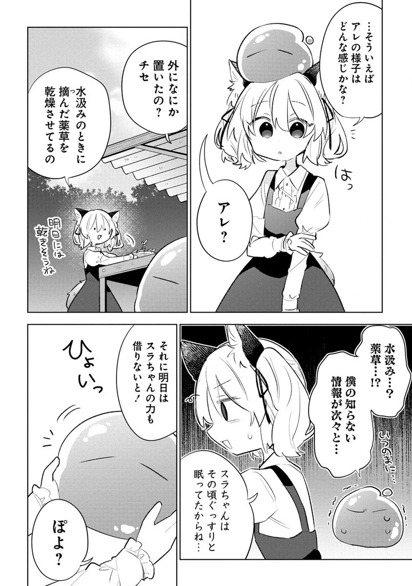 猫耳少女は森でスローライフを送りたい ～もふもふは所望しましたが、聖女とか王子様とかは注文外です～ 第3.2話 - 12