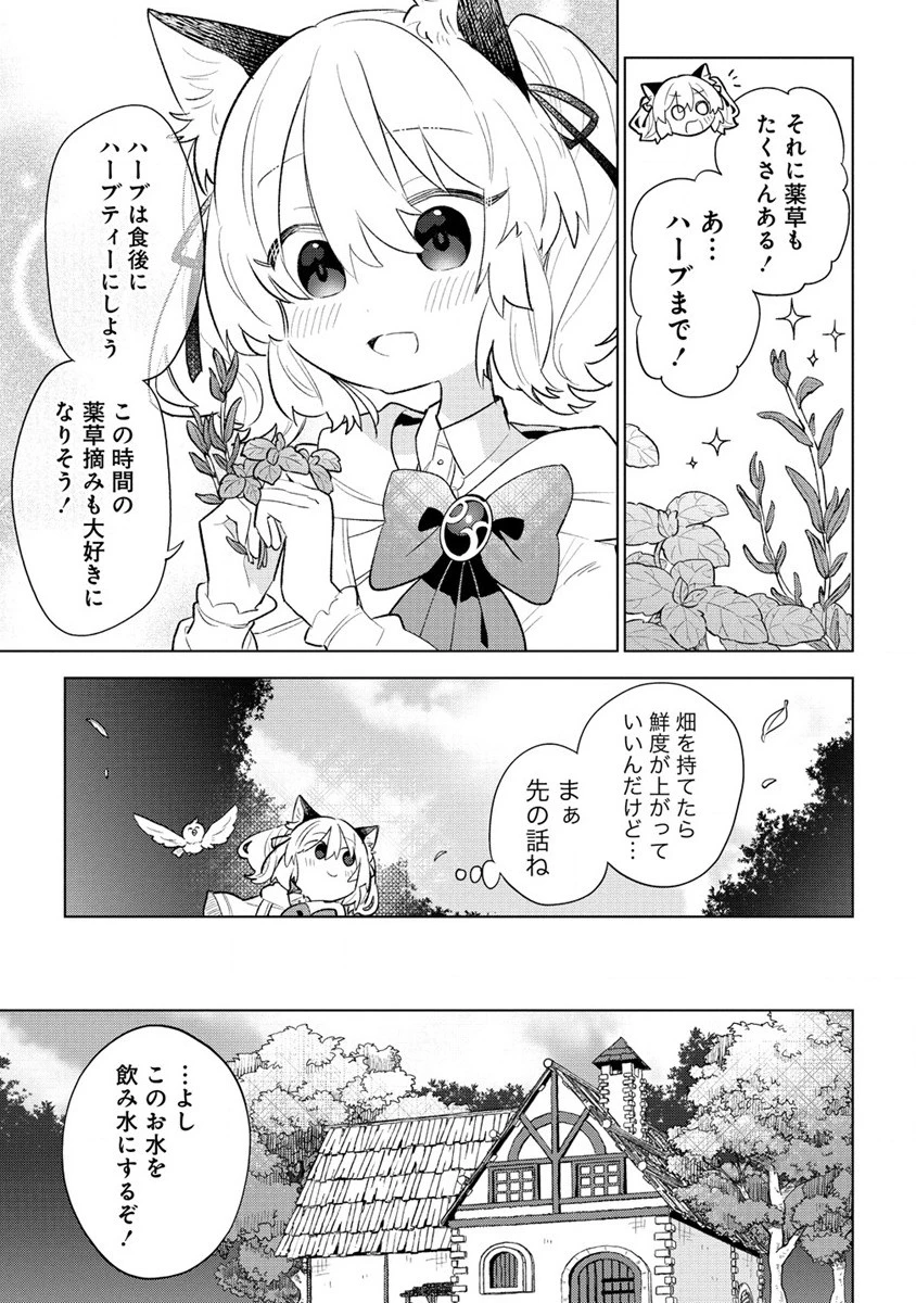 猫耳少女は森でスローライフを送りたい ～もふもふは所望しましたが、聖女とか王子様とかは注文外です～ 第3.1話 - 7