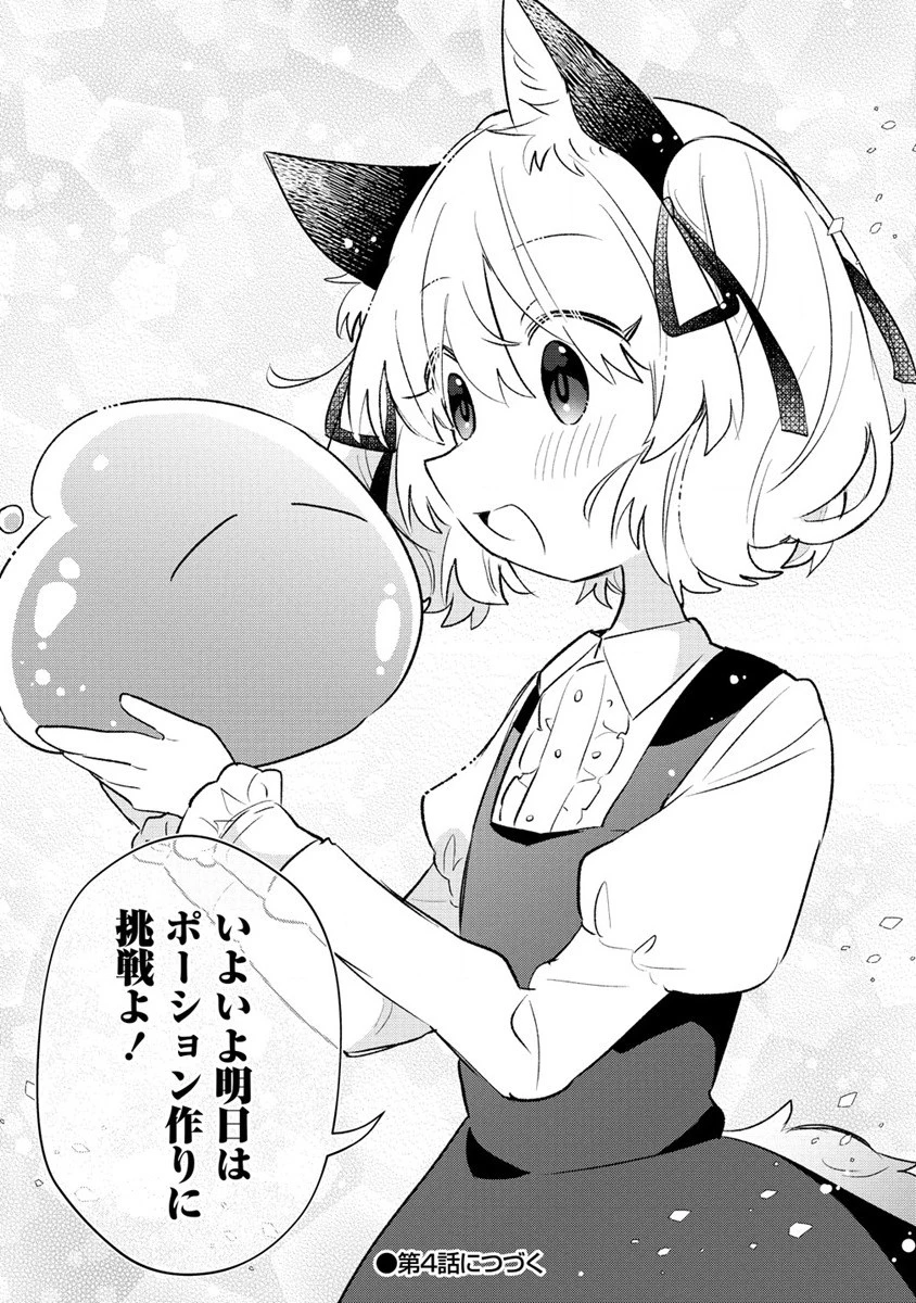 猫耳少女は森でスローライフを送りたい ～もふもふは所望しましたが、聖女とか王子様とかは注文外です～ 第3.2話 - 13