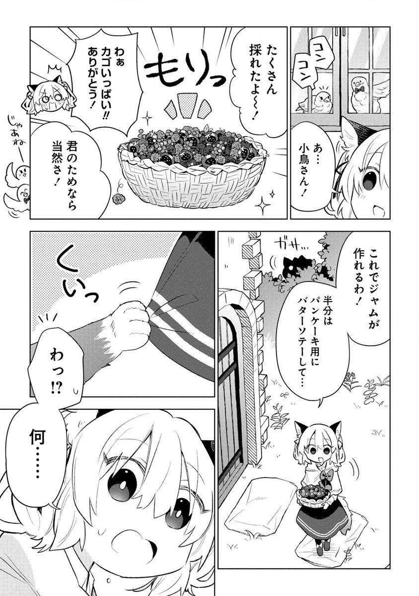 猫耳少女は森でスローライフを送りたい ～もふもふは所望しましたが、聖女とか王子様とかは注文外です～ 第3.1話 - 11