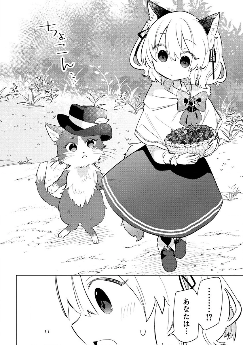 猫耳少女は森でスローライフを送りたい ～もふもふは所望しましたが、聖女とか王子様とかは注文外です～ 第3.1話 - 12