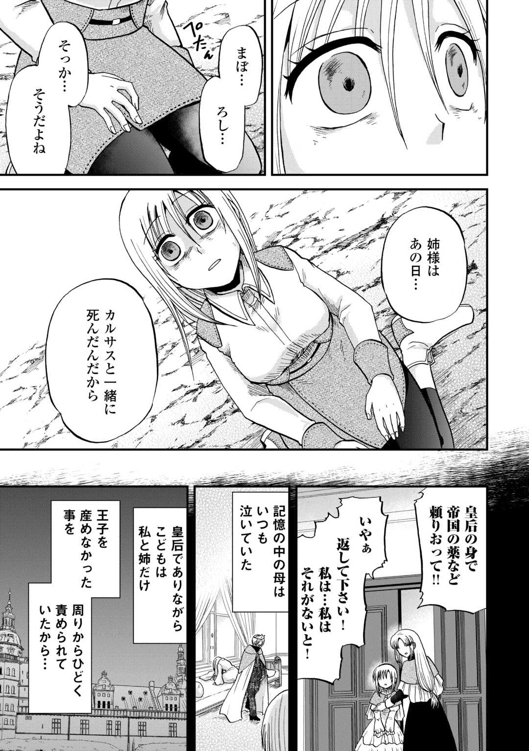 前世は剣帝。今生クズ王子 第41.2話 - 17