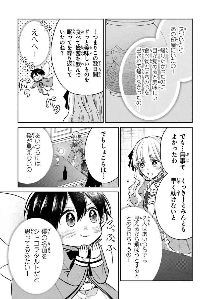 義妹が聖女だからと婚約破棄されましたが、私は妖精の愛し子です 第25.1話 - 7