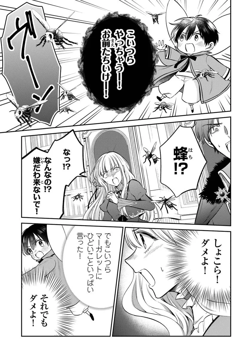 義妹が聖女だからと婚約破棄されましたが、私は妖精の愛し子です 第25.2話 - 10