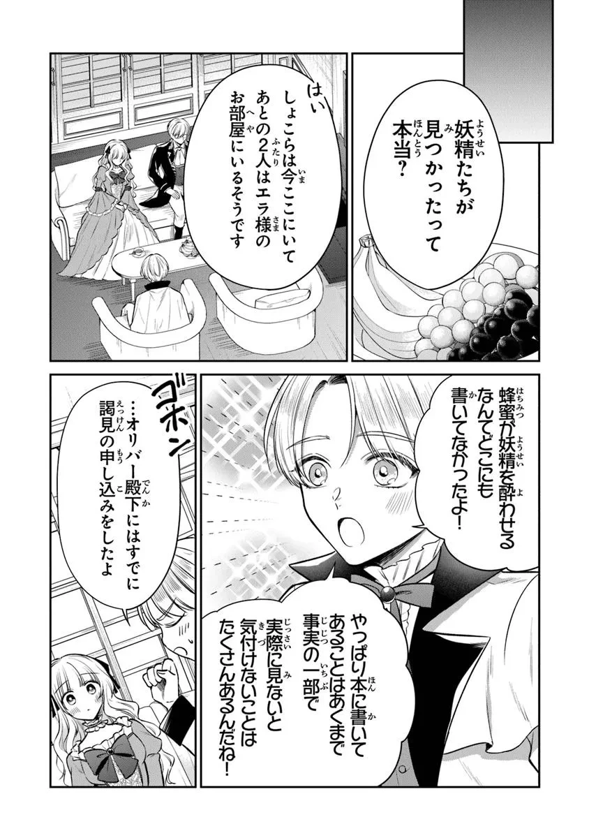 義妹が聖女だからと婚約破棄されましたが、私は妖精の愛し子です 第25.1話 - 9