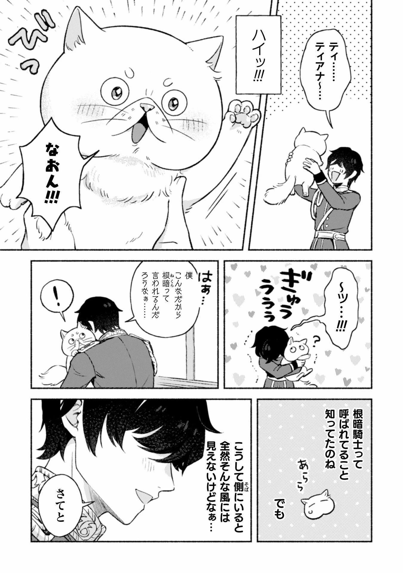 根暗騎士による溺愛満喫中のブサ猫、実は聖女です! 第3話 - 10