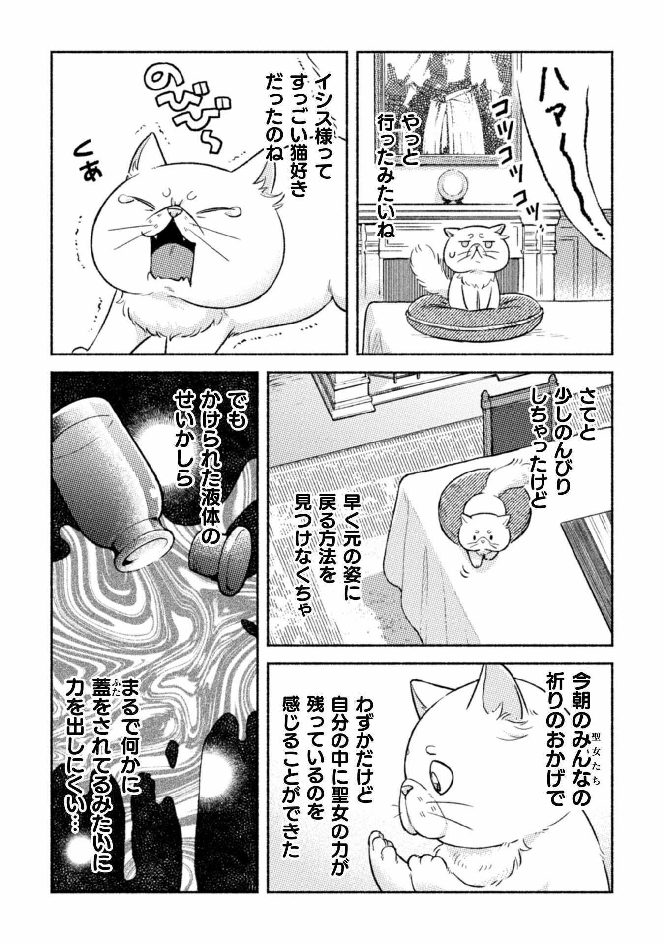 根暗騎士による溺愛満喫中のブサ猫、実は聖女です! 第3話 - 14