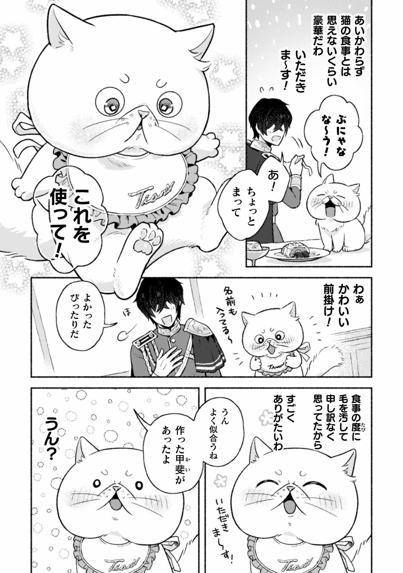 根暗騎士による溺愛満喫中のブサ猫、実は聖女です! 第3話 - 18