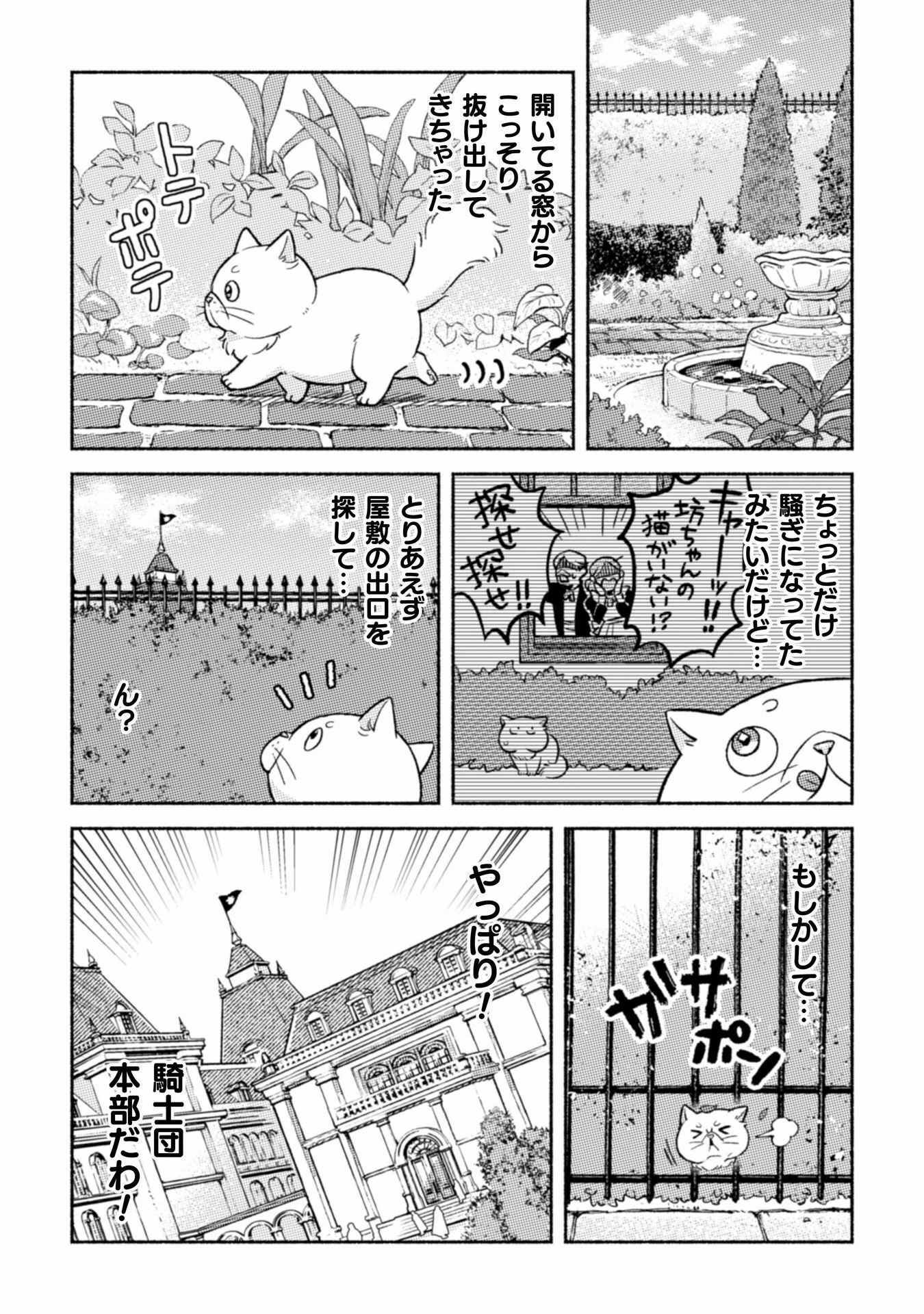 根暗騎士による溺愛満喫中のブサ猫、実は聖女です! 第3話 - 21