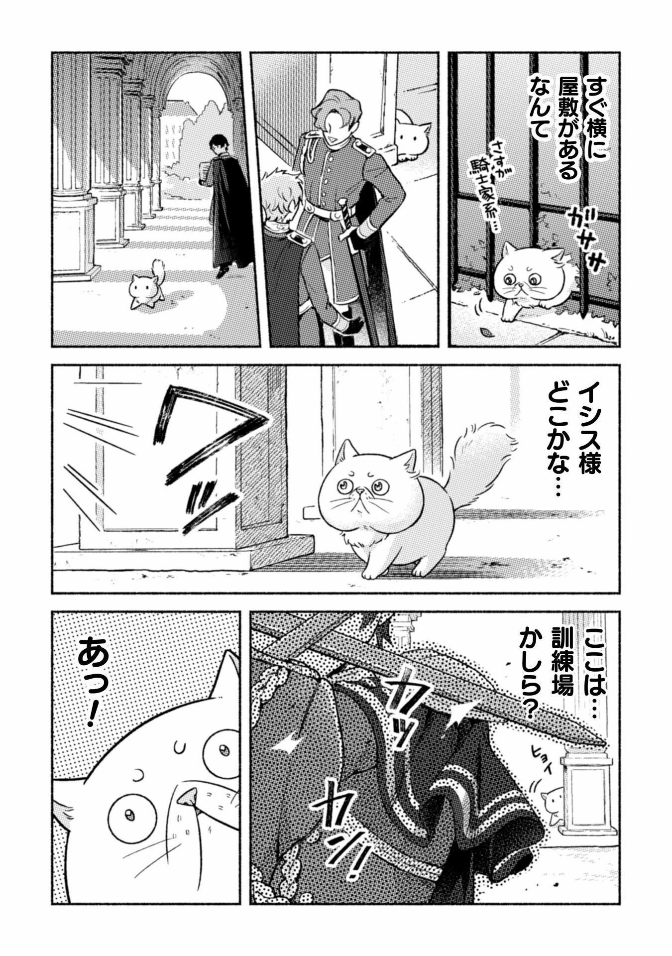 根暗騎士による溺愛満喫中のブサ猫、実は聖女です! 第3話 - 22