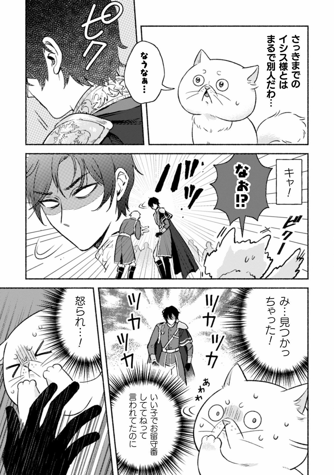 根暗騎士による溺愛満喫中のブサ猫、実は聖女です! 第3話 - 26