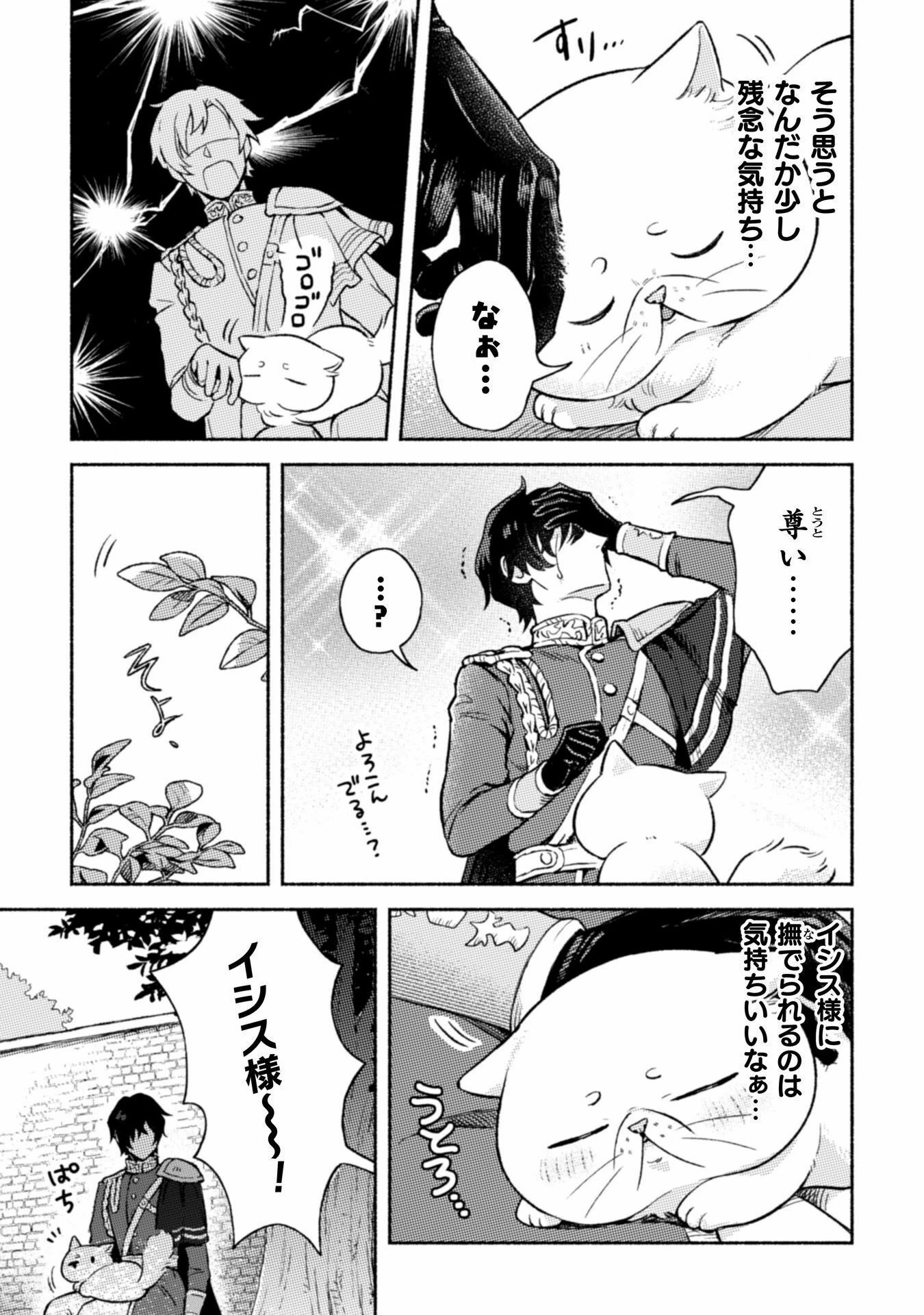 根暗騎士による溺愛満喫中のブサ猫、実は聖女です! 第3話 - 32